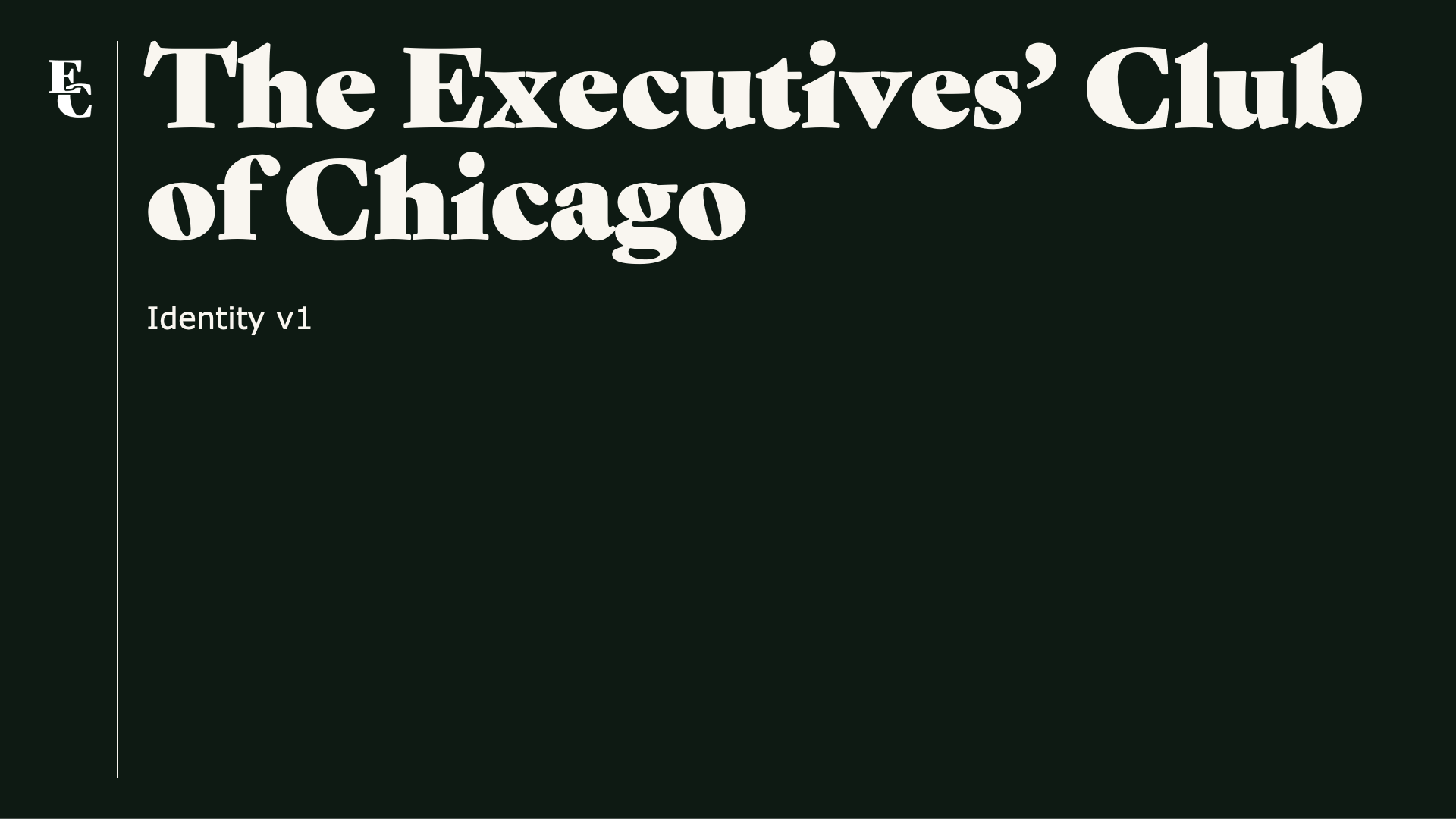 Brand guide cover